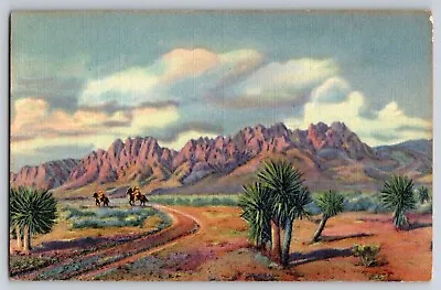 Postcard  The Organ Mountains Las Cruces New Mexico      B14 • $4.79