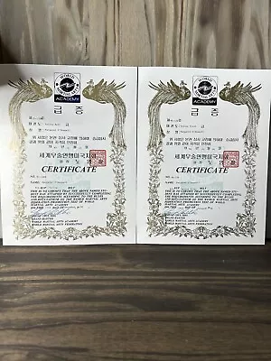 Lot Of 2 World Martial Arts Certificates Yellow Belt 1995 1996 • $11.23