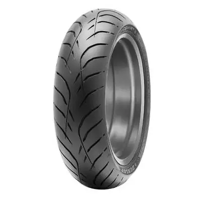 Dunlop Roadsmart IV 190/55ZR17 Rear Radial Tire 75W MV Agusta Brutale 1078RR 09 • $507.36