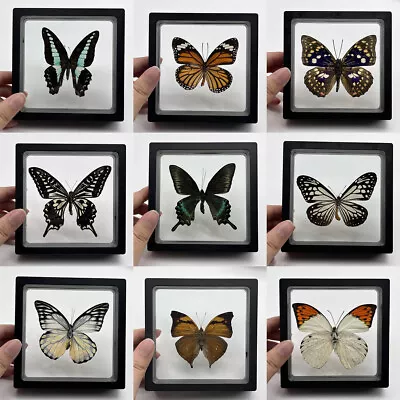 10pcs Real Butterfly Specimen Rare Natural Butterfly Photo Frame Wall Decoration • $45.99