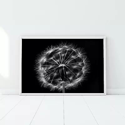 $62.55 • Buy Black&White Dandelion Photography Wall Art Poster Print. Great Farmhouse Deco