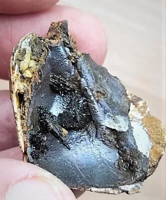 Amazing Green-black Vivianite In The Shell!!! • $17