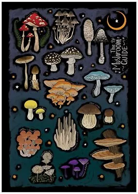 The Mushroom Guide Mini Poster • £2.99