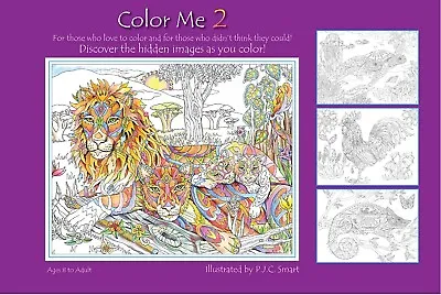 Color Me Your Way 2 Or 3 Adult Coloring Book Spiral-bound By Pamela Smart • $12.99