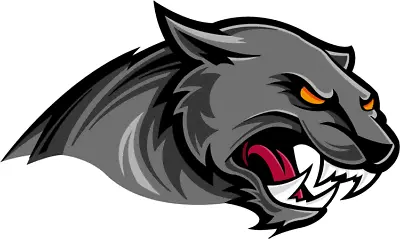 Angry Panther Puma Car Bumper Sticker Decal • $2.75