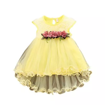 Infant Baby Girls Tutu Dress Princess Lace Tulle Dress Sleeveless Floral Dress • £8.69