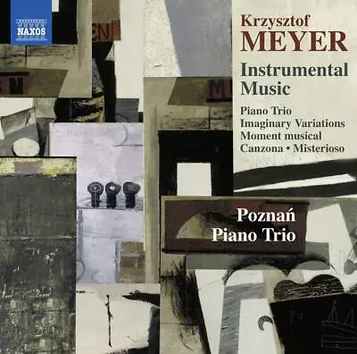 Meyer: Canzona For Cello Poznan Piano Trio AudioCD New FREE & FAST Delivery • £7.47