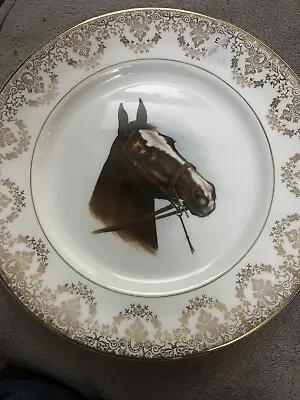 Harleigh Vintage Fine Bone China Horse Plate • £14