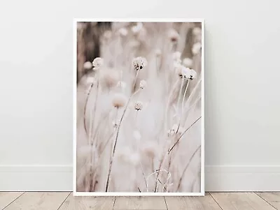 Neutral Cotton Grass Photography Wall Art Print. Great Home Decor • $70.88