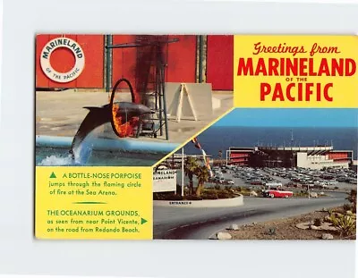 Postcard Greetings From Marineland Of The Pacific California USA • $7.69