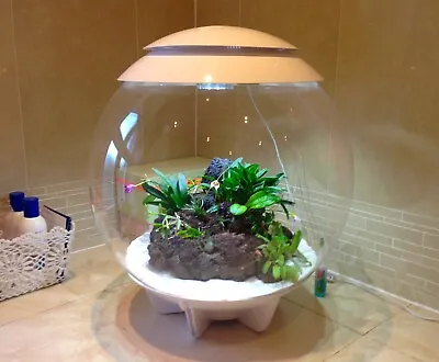 £235 • Buy Biorb Air 60l Terrarium Acrylic Tank Led Lighting Mister Tropical Plants Reptile