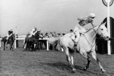 £5.78 • Buy Nicolaus Silver 1961 Grand National Win 4 Horse Racing Old Photo