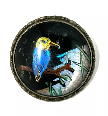 Antique C.1923 Thomas Mott Silver KINGFISHER Butterfly Wing Brooch • $60