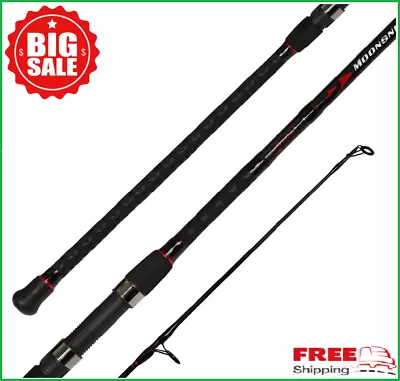 Fiblink Surf Spinning Fishing Rod 2Pcs Graphite Travel Fishing Rod 12-Ft & 10-Ft • $65.87