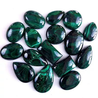 16Pcs 371Cts Malachite Back Unpolished Cabochon Gemstone Lot 22x13 16x10 #9333 • $11.89