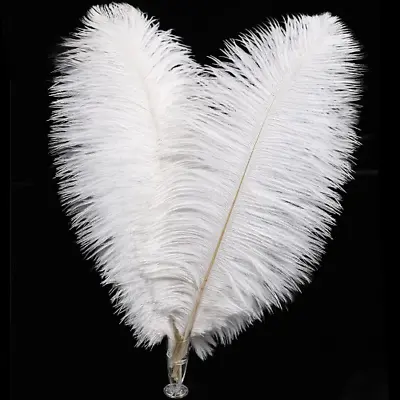 50-500pcs White Ostrich Feathers   Table  Home DIY Craft Supplies  Accessories • $170.70