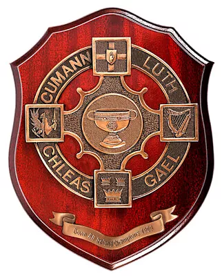 £90 • Buy Down All-Ireland Senior Football Champions 1994  GAA Plaque