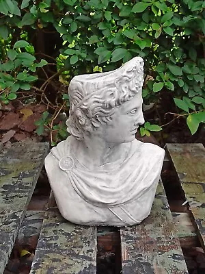 Apollo Bust Statue  Greek God Sculpture Sandstone Stone Garden Mini Flower Pot • £37