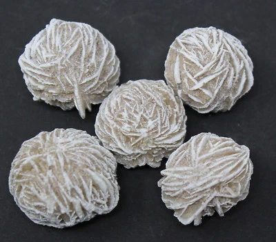$7.95 • Buy 5 Desert Rose Selenite Stones (0.5 - 1.5  Crystal Healing Love Stone) Rock Bud