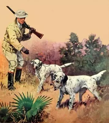 Antique Reproduction Photo Print Quail Hunting 2 Beautiful English Setters • $11.99