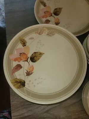 Mikasa Indian Feast Big Sur Dinnerware Set • $110
