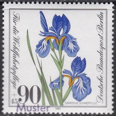 £4.08 • Buy Specimen, Berlin Sc9NB185 Plant, Iris Sibirica