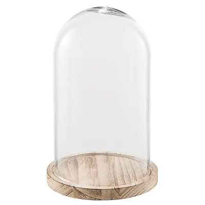 £24.59 • Buy Glass Display Cloche Bell Jar Dome Flower Preservation Vase Wooden Base 28cm
