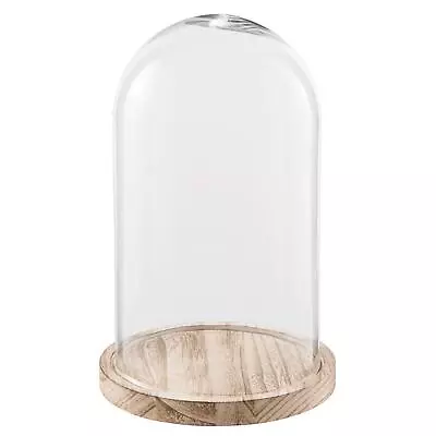 £24.59 • Buy Glass Display Cloche Bell Jar Dome Flower Preservation Vase Wooden Base 28cm