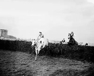 £5.78 • Buy Nicolaus Silver 1961 Grand National Win 2 Horse Racing Old Photo