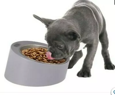 Zoofari Feeding Bowl With Built-in LCD Scale Dog & Cat Meal Dry Wet Food (New) • £19.90