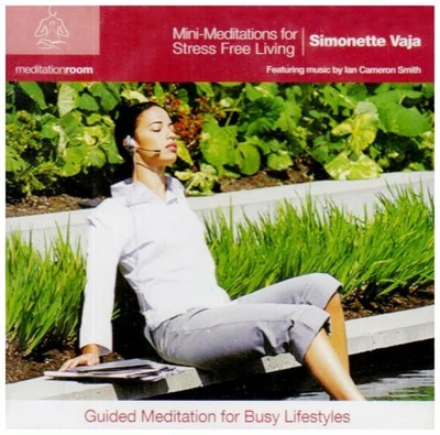 $4.04 • Buy Simonette Vaja - Mini- CD