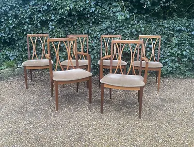 Vintage 1970's G Plan Teak Dining Chairs Inc Two Carvers X 6 • £575
