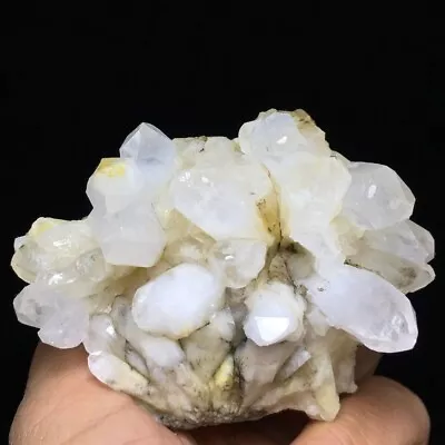 225g Museum Quality Transparent White Quartz Crystal Cluster Mineral Specimen • $31.98
