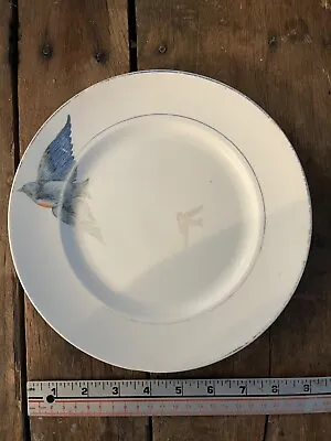 One (1) Very Faded Jan. 4 1916 Antique Bluebird China Dinner Plate 9  • $5