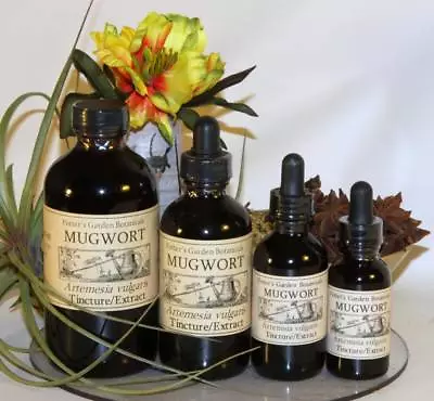 MUGWORT Summer Uplift Sacred Slumber Moon Dreams Organic Folk Remedy Tincture ~ • $17.50