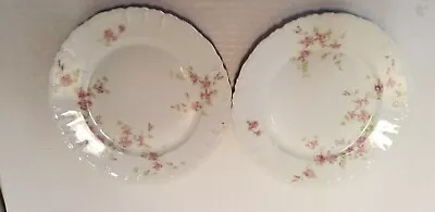 Habsburg China From Austria 8 1/2  Luncheon Plates • $3.99