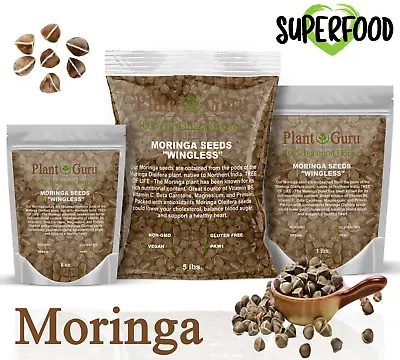 $6.15 • Buy Moringa Oleifera Seeds WINGLESS Fresh Organic Semillas De Moringa Bulk Wholesale