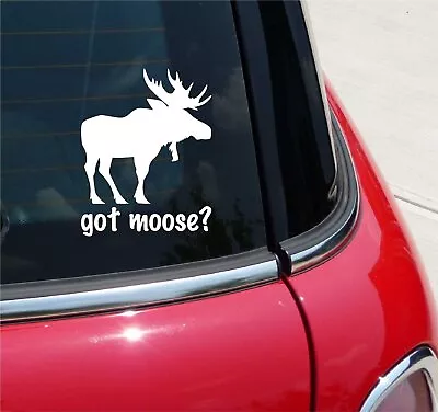 Got Moose? Is Loose Hunting Lodge Graphic Decal Sticker Art Car Wall Decor • $3.48