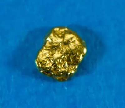 Alaskan-Yukon BC Gold Rush Natural Gold Nugget 0.05 Grams Genuine • $8.66