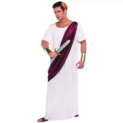 Mens Roman Ceasar Costume Std • £19.95