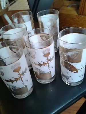 6 VINTAGE DRINKING GLASSES Gold With Butterflies • $12