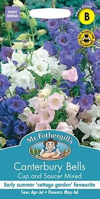 Canterbury Bells Cup & Saucer Mixed 650 Fresh Seeds    Canterbury Seeds • £1.85