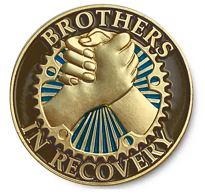 BROTHERS IN RECOVERY- Brushed Gold Army& Blue Enameled AA/NA12 STEP PROGRAM Coin • $21.99