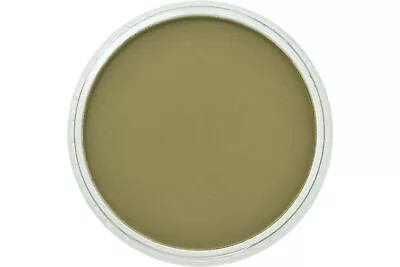 PanPastel Artists Pastel Hansa Yellow Ex. Dark - 2201 • £10.88