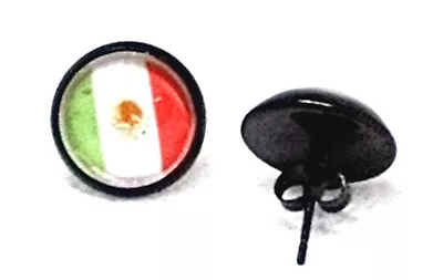 Mexican Flag Earrings. • $7.95