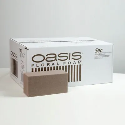 Oasis Sec Dry Foam Bricks For Dry And Artificial Floristry Floral Arrangements • £4.99