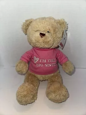 NEW GUND I’m The Big Sister T-Shirt Teddy Bear Plush Stuffed Animal • $10.99