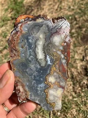 Mexican Blue Crazy Lace Agate Slab  • $11