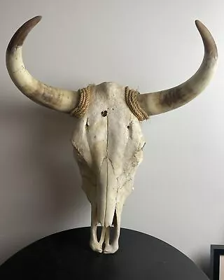 Vintage Steer Skull 20” Bull Horns Mounted Taxidermy Head Wall Hanging • $75