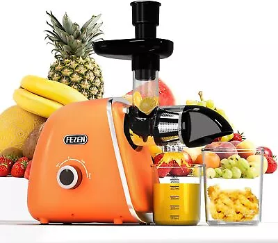 Cold Press Juicer Fezen Juicer Machines Vegetable And Fruit Masticating Juicer • $49.99